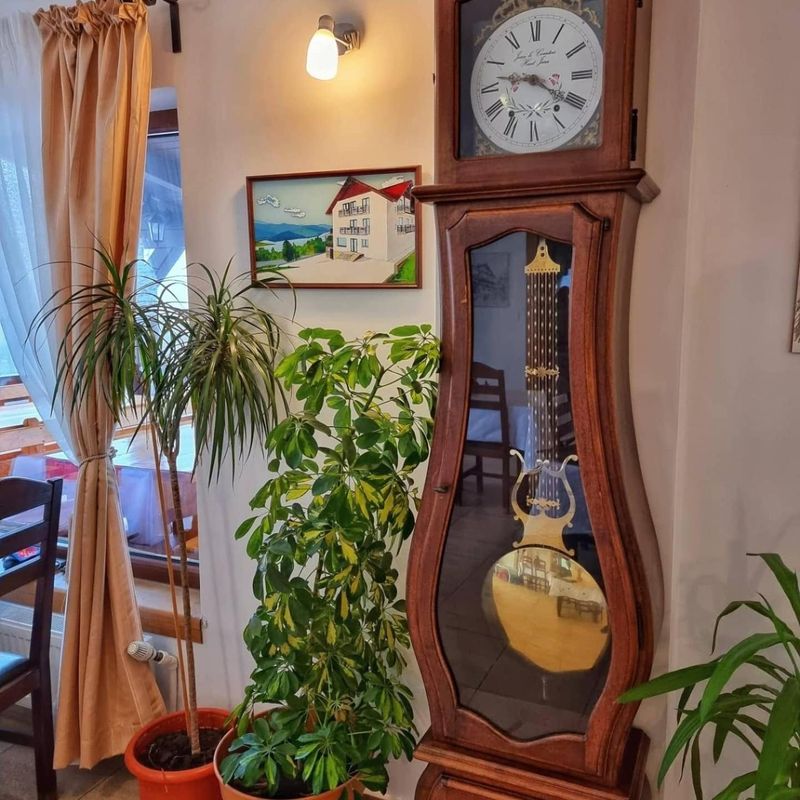 Ceas vechi cu pendul și plante în interiorul pensiunii