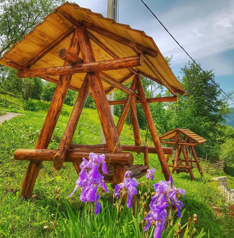 Foișor din lemn și irisi mov în grădină